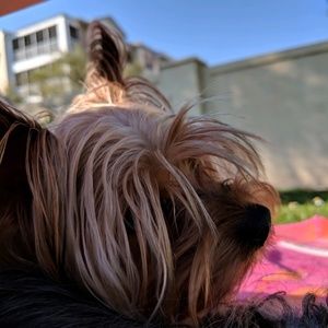 Meet your Posher, Kerrie